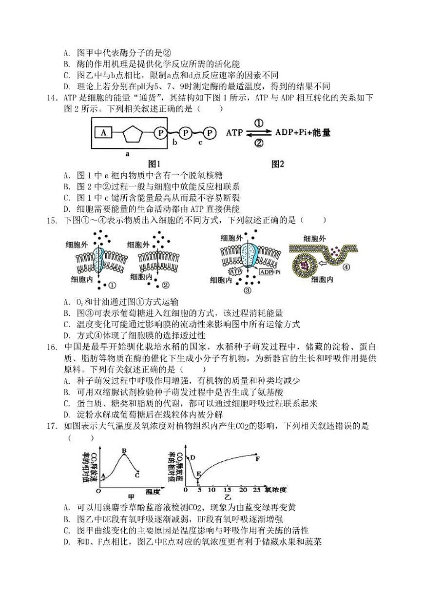 2025-2026学年四川省南充市阆中市四川省阆中中学校高一上学期1月月考生物试题（有答案）第3页