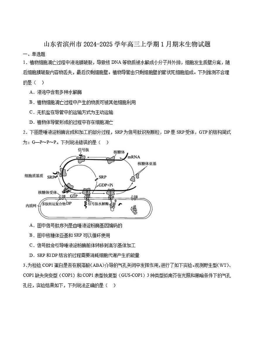 2025届山东省滨州市高三上学期1月期末考试生物试卷（有答案）第1页