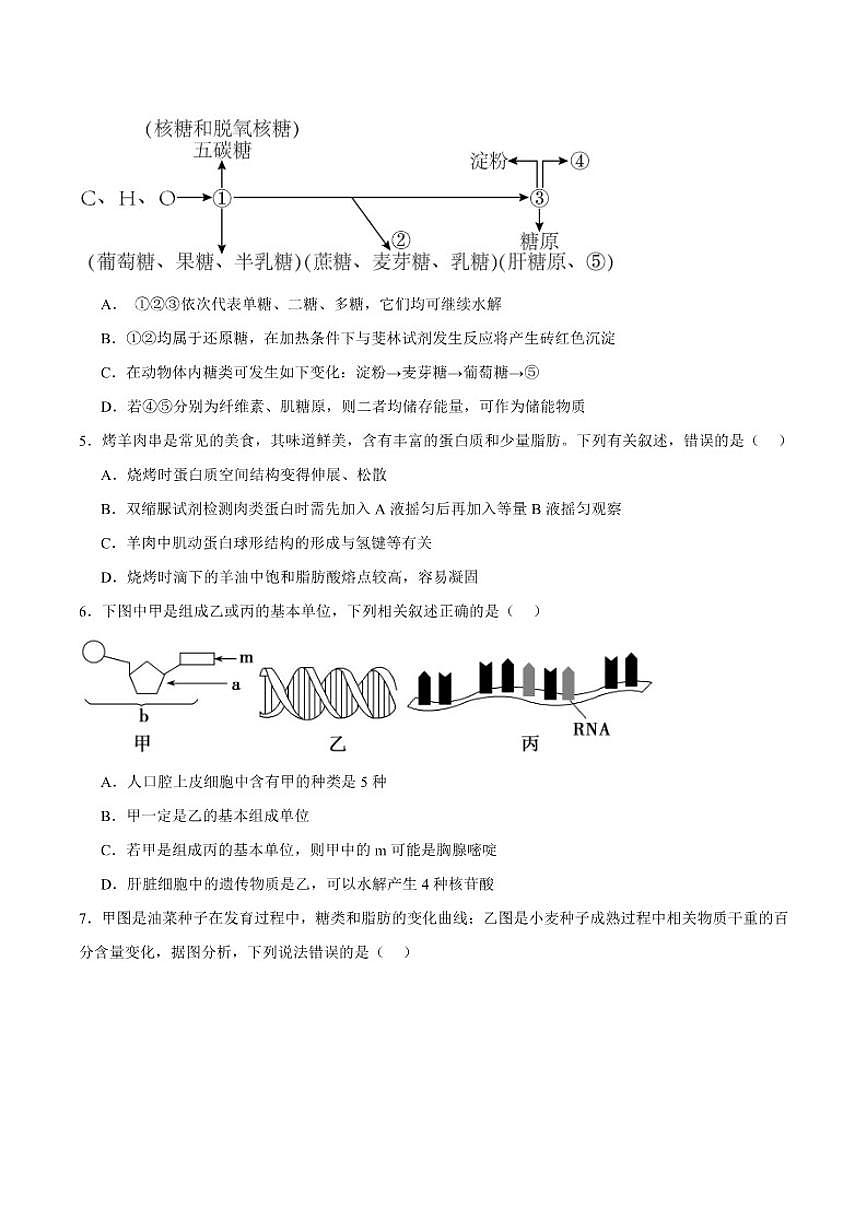 2025-2026学年甘肃省兰州第一中学高一上学期12月月考生物试卷（有答案）第2页