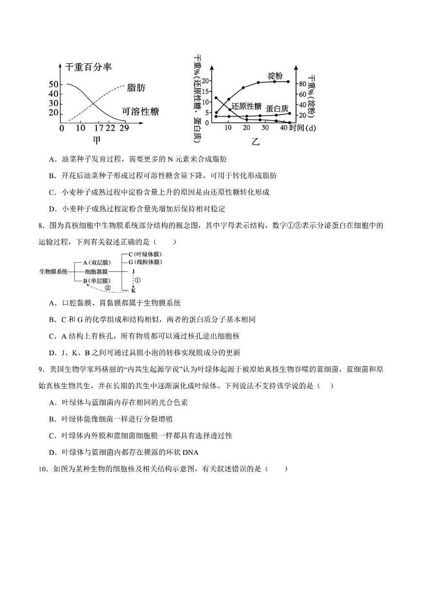 2025-2026学年甘肃省兰州第一中学高一上学期12月月考生物试卷（有答案）第3页