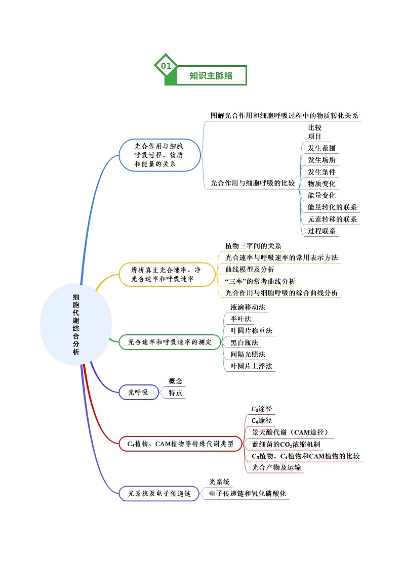 高考生物一轮-细胞代谢综合分析（知识清单）（全国通用）（原卷版）第2页