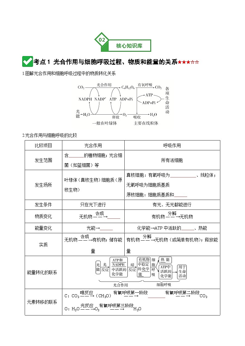 高考生物一轮-细胞代谢综合分析（知识清单）（全国通用）（原卷版）第3页