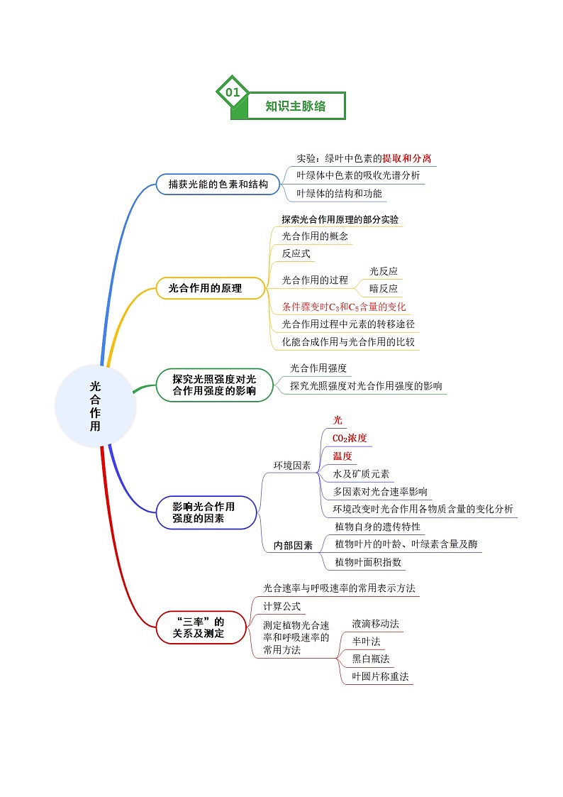 高考生物一轮-光合作用（知识清单）（全国通用）（解析版）第2页