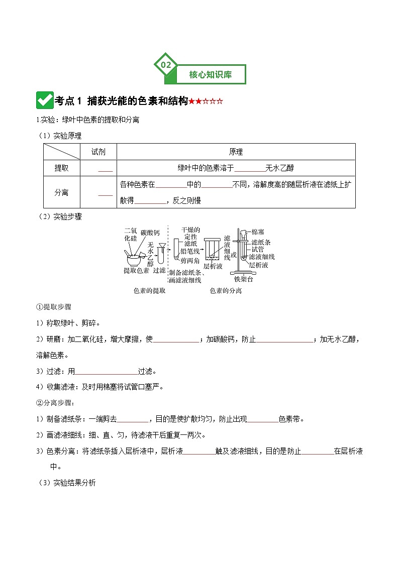 高考生物一轮-光合作用（知识清单）（全国通用）（原卷版）第3页