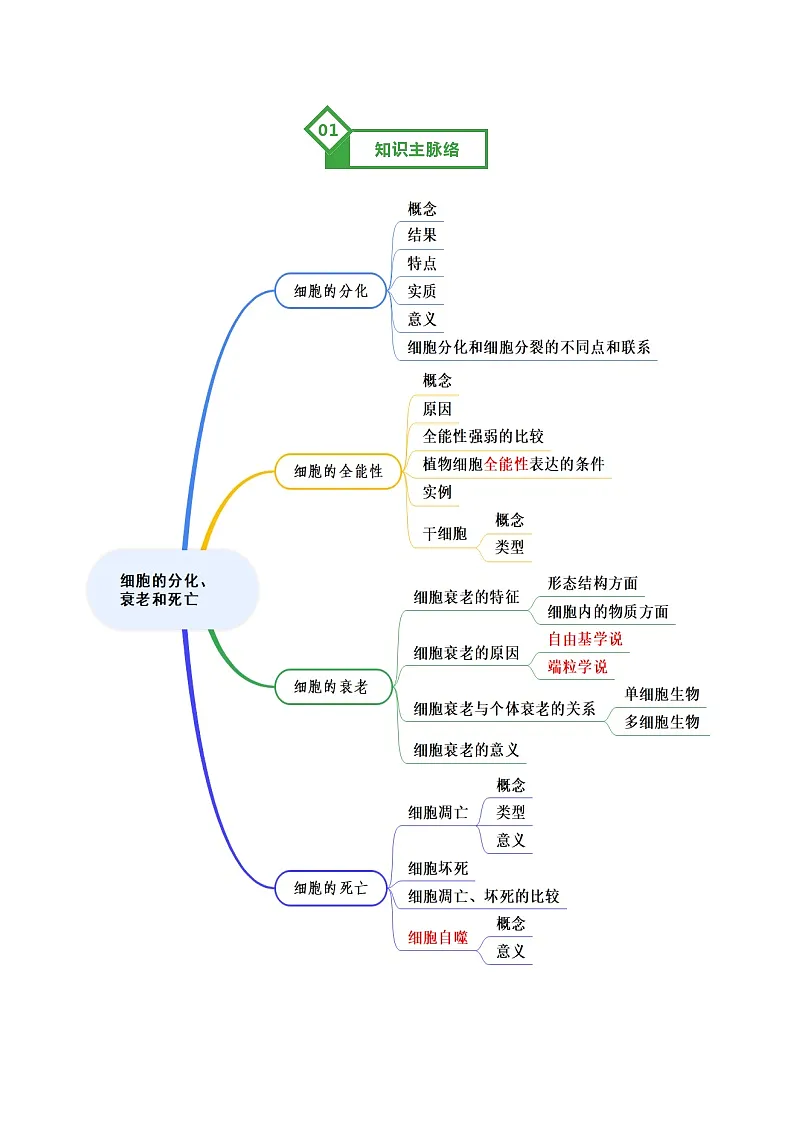 高考生物一轮-细胞的分化、衰老和死亡（知识清单）（全国通用）（原卷版）第2页