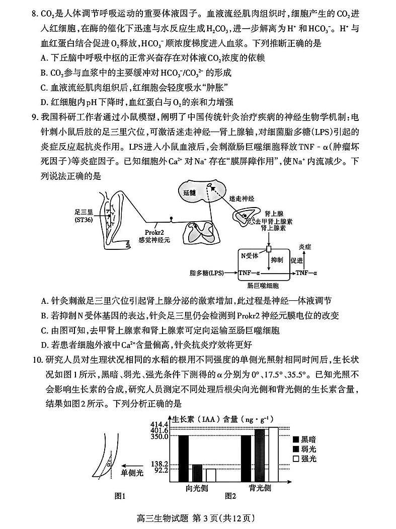 山东省泰安市2026届高三第一学期期末考试 生物试题+答案第3页