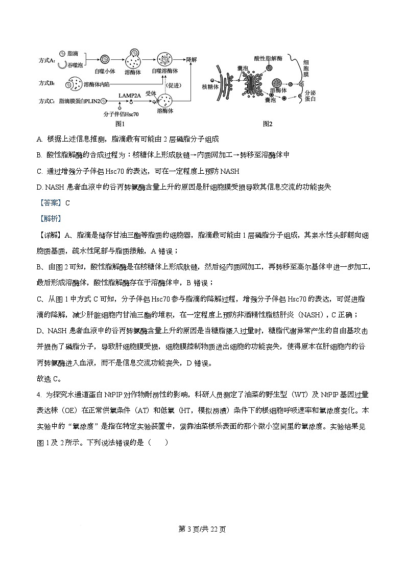 2026届四川省乐山市高三上学期12月第一次调查研究考试生物试题 Word版含解析第3页