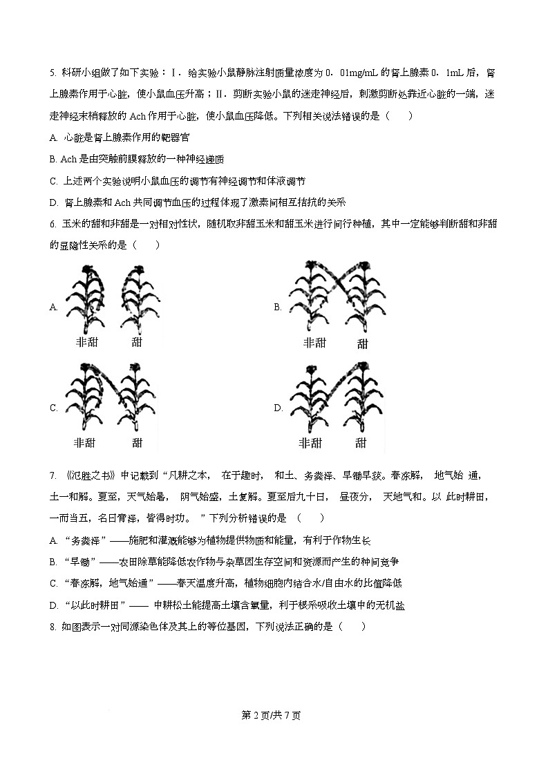 2026届四川省眉山市仁寿县第一中学（北校区）高三一模生物试题（原卷版）第2页