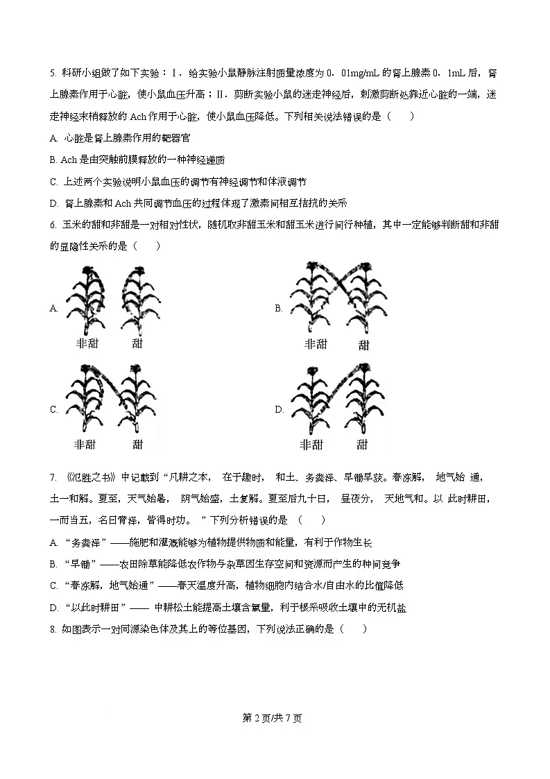 2026届四川省眉山市仁寿县第一中学（北校区）高三一模生物试题（原卷版）第2页