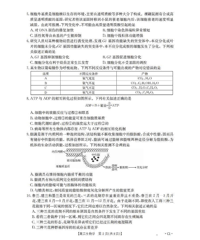 金太阳辽宁省2026届高三上学期12月联考（26-162C）生物试卷（含答案）第2页