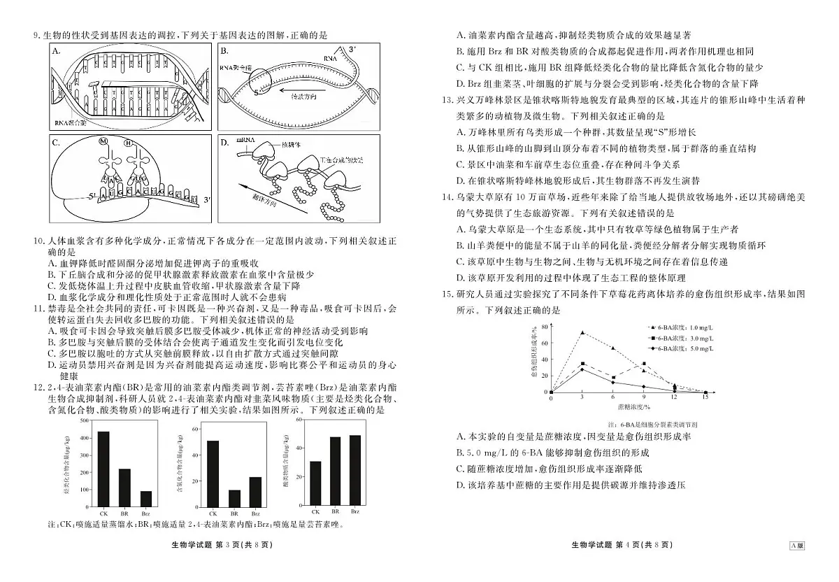 贵州省衡水金卷2026届高三上学期12月阶段性自测生物试卷（含答案）第2页