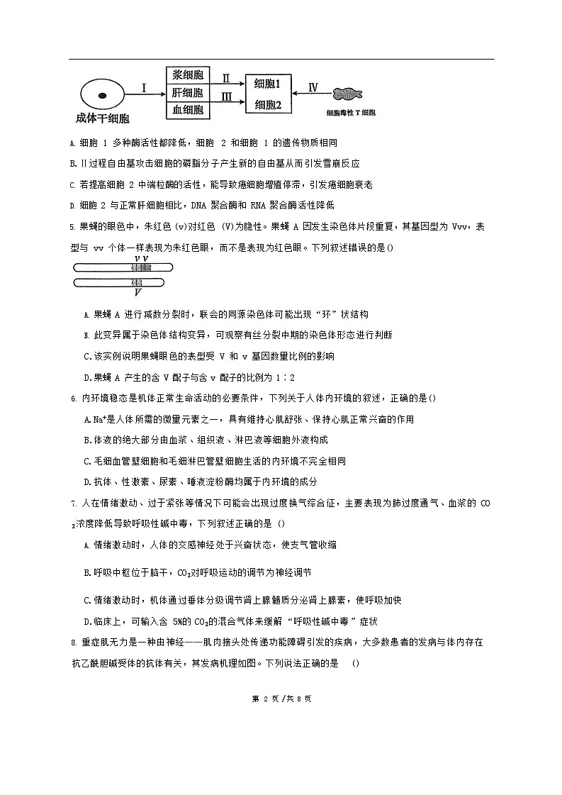 广东省汕头市潮阳实验学校2025-2026学年高二上学期12月月考生物试题第2页