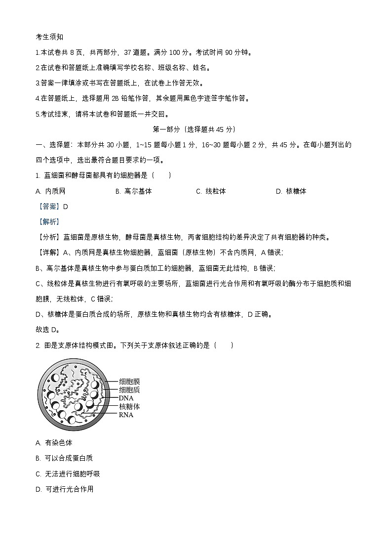 北京市海淀区2024_2025学年高一生物上学期1月期末考试试卷含解析第1页