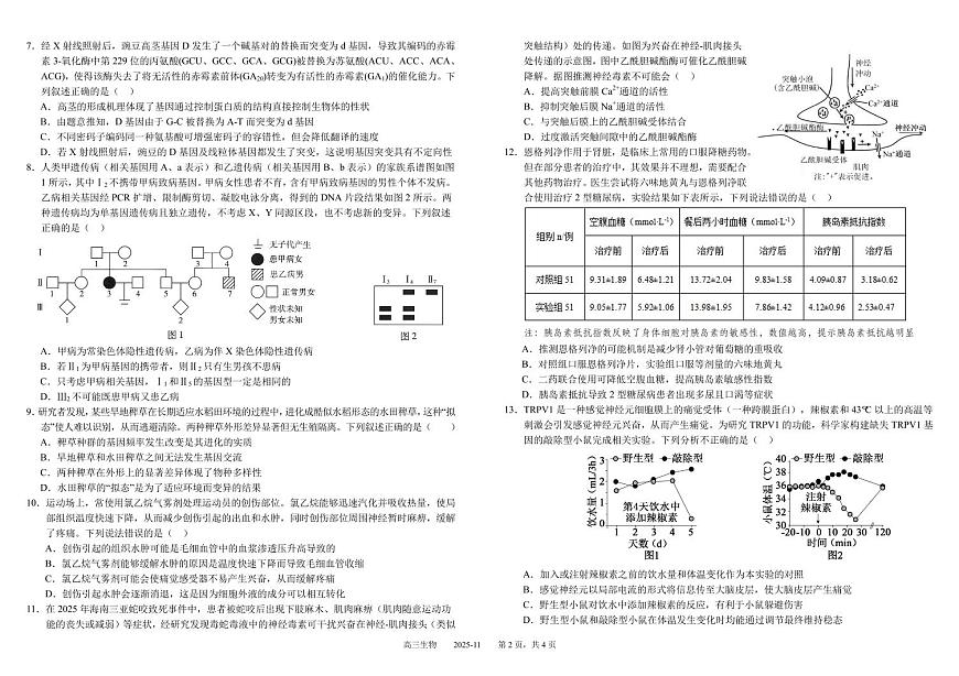 四川省成都市2025_2026学年高三生物上学期期中测试pdf第2页