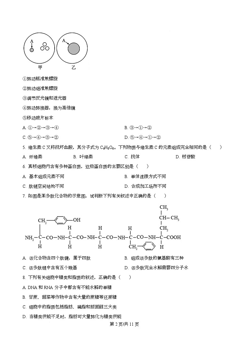 四川省成都外国语学校2025-2026学年高一上学期12月月考生物试题（原卷版）第2页