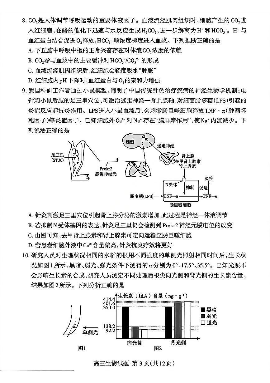 生物-山东省泰安市2026届高三年级上学期期末考试卷及答案第3页