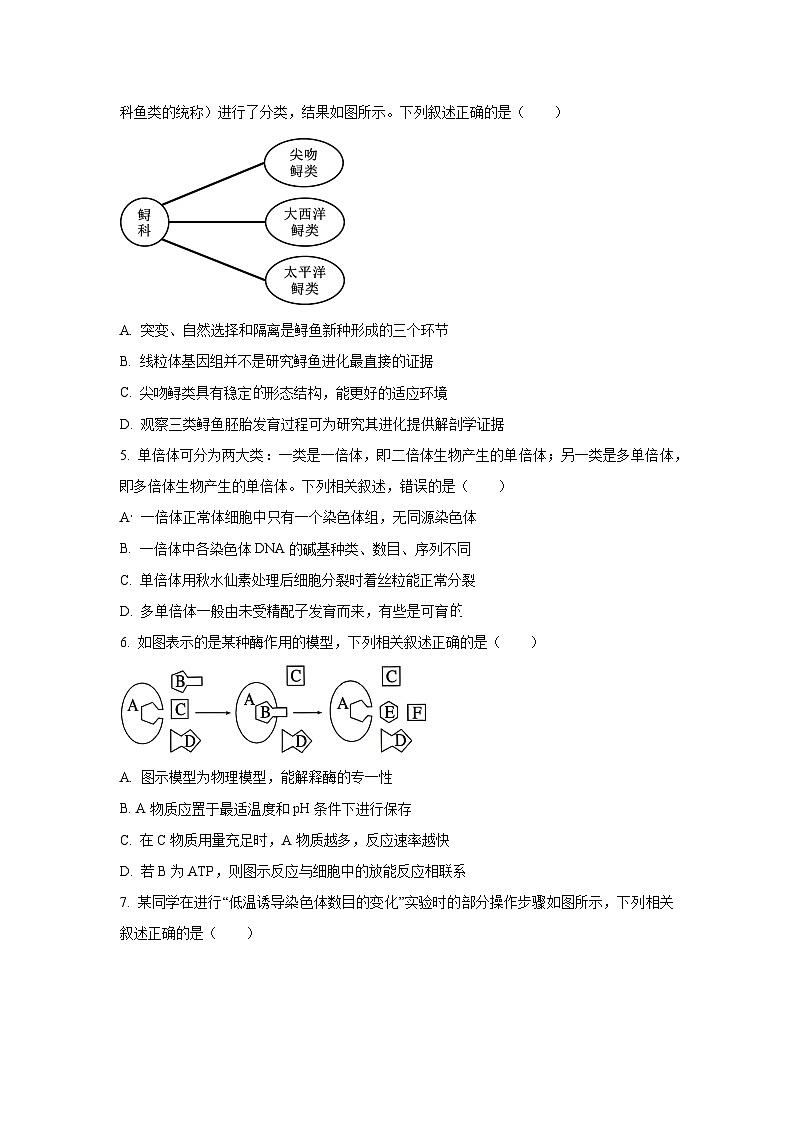 2025-2026学年重庆市部分学校高三上学期12月月考生物试卷（学生版）第2页