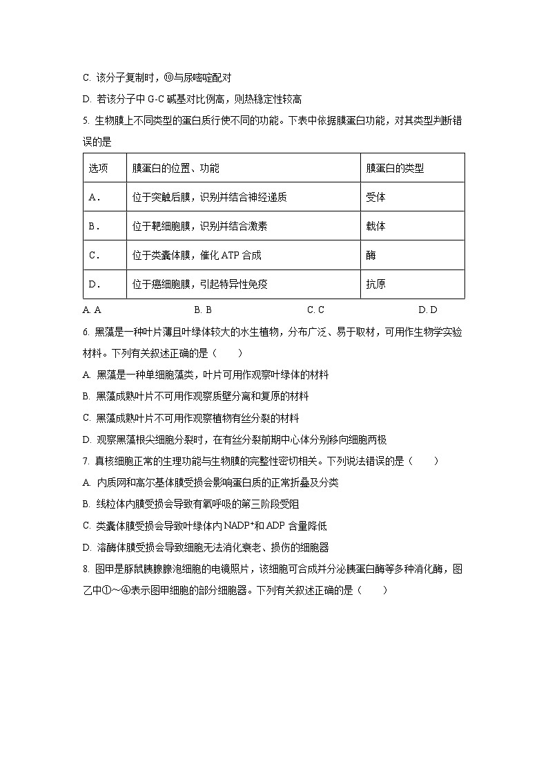 2025-2026学年天津市河东区高三上学期12月月考生物试卷（学生版）第2页