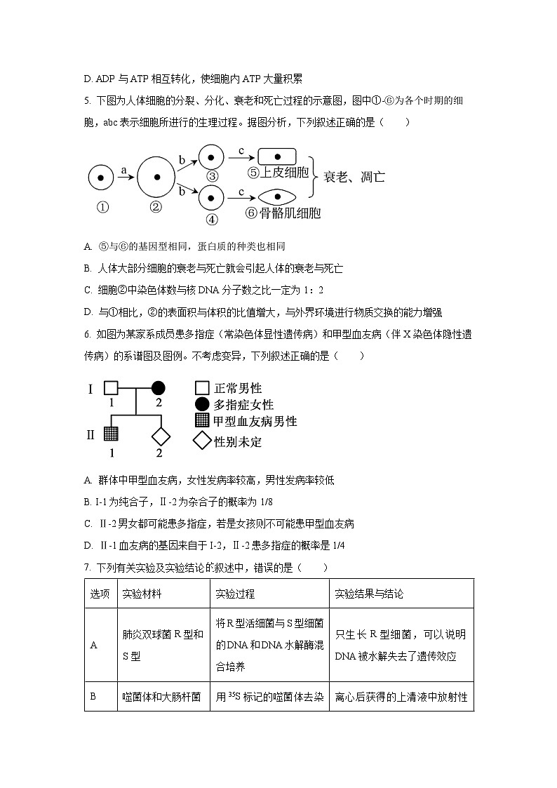 2025-2026学年辽宁省鞍山市高三上学期12月月考生物试卷（学生版）第2页