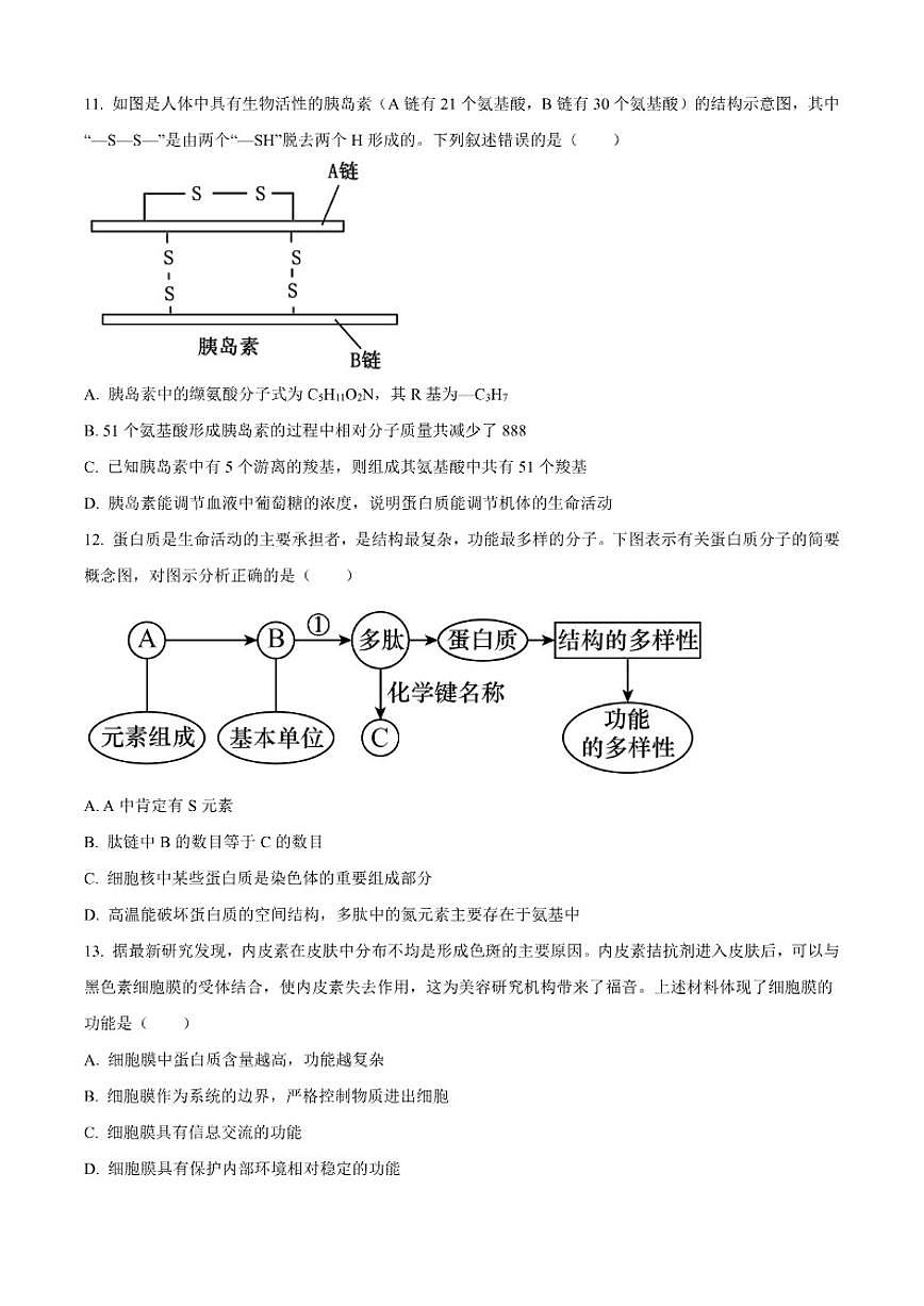 2025-2026学年云南省红河哈尼族彝族自治州第一中学高一上学期10月月考生物试题（有答案）第3页
