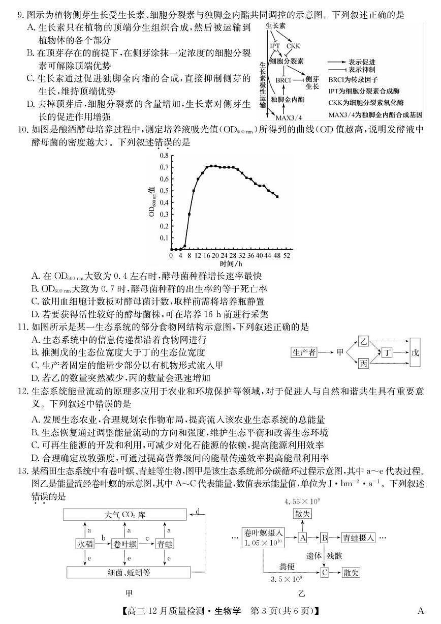 2025-2026学年安徽省九师联盟高三上学期12月质量检测生物试卷A（有答案）第3页