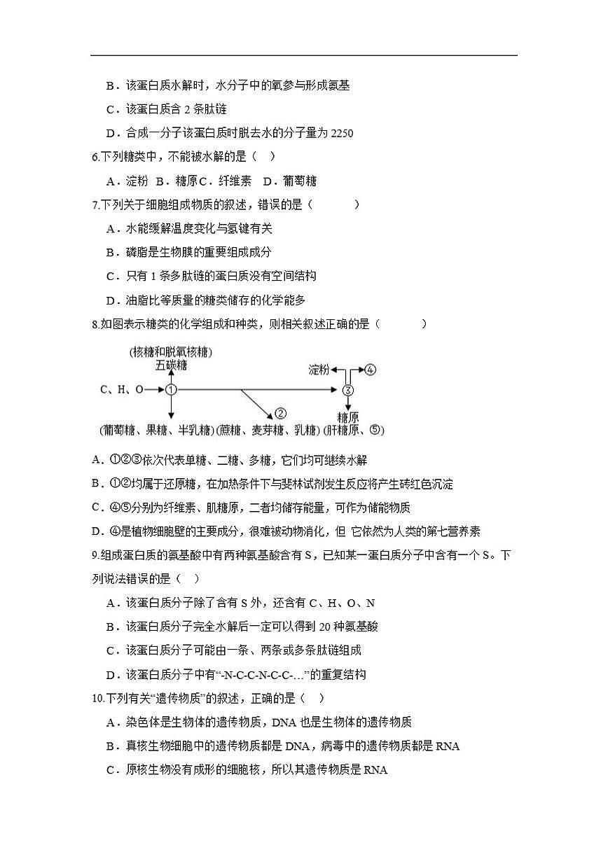 2025-2026学年四川省眉山市联考高一上学期12月期中生物试题（有答案）第2页