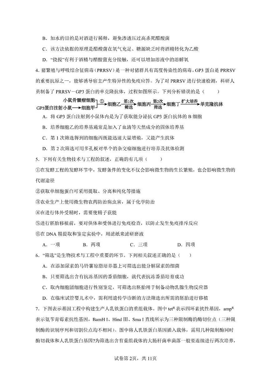 2025-2026学年四川省眉山市仁寿县联考高二上学期12月期中生物试题（有答案）第2页