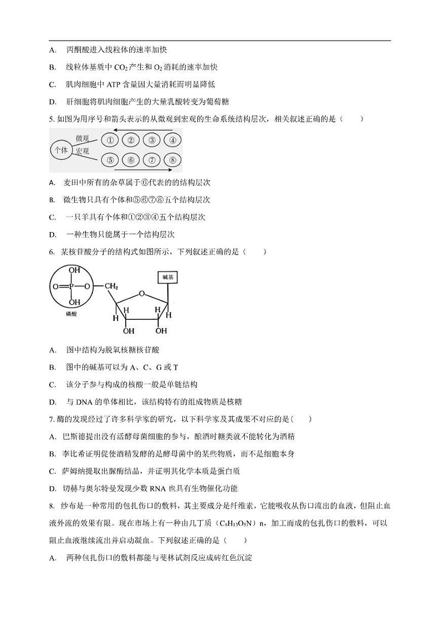 2025-2026学年云南省丽江市华坪县第一中学高一上学期12月月考生物试题（有解析）第2页