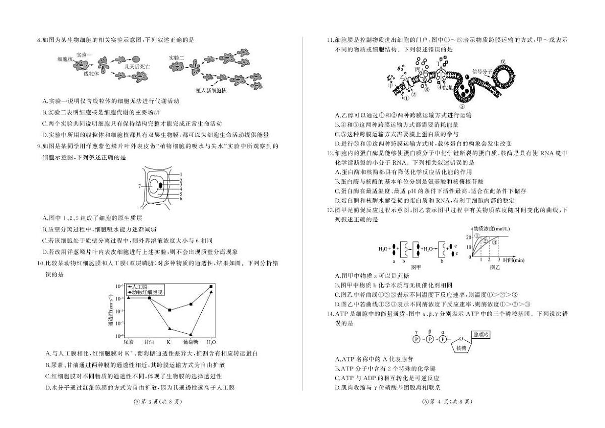 2025-2026学年河南省百师联盟高一上学期12月联考生物试卷（有解析）第2页