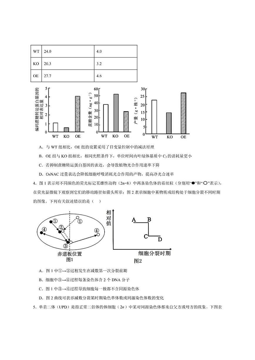 2024-2025学年山东省临沂市高三上学期期末考试生物试题（有答案）第2页