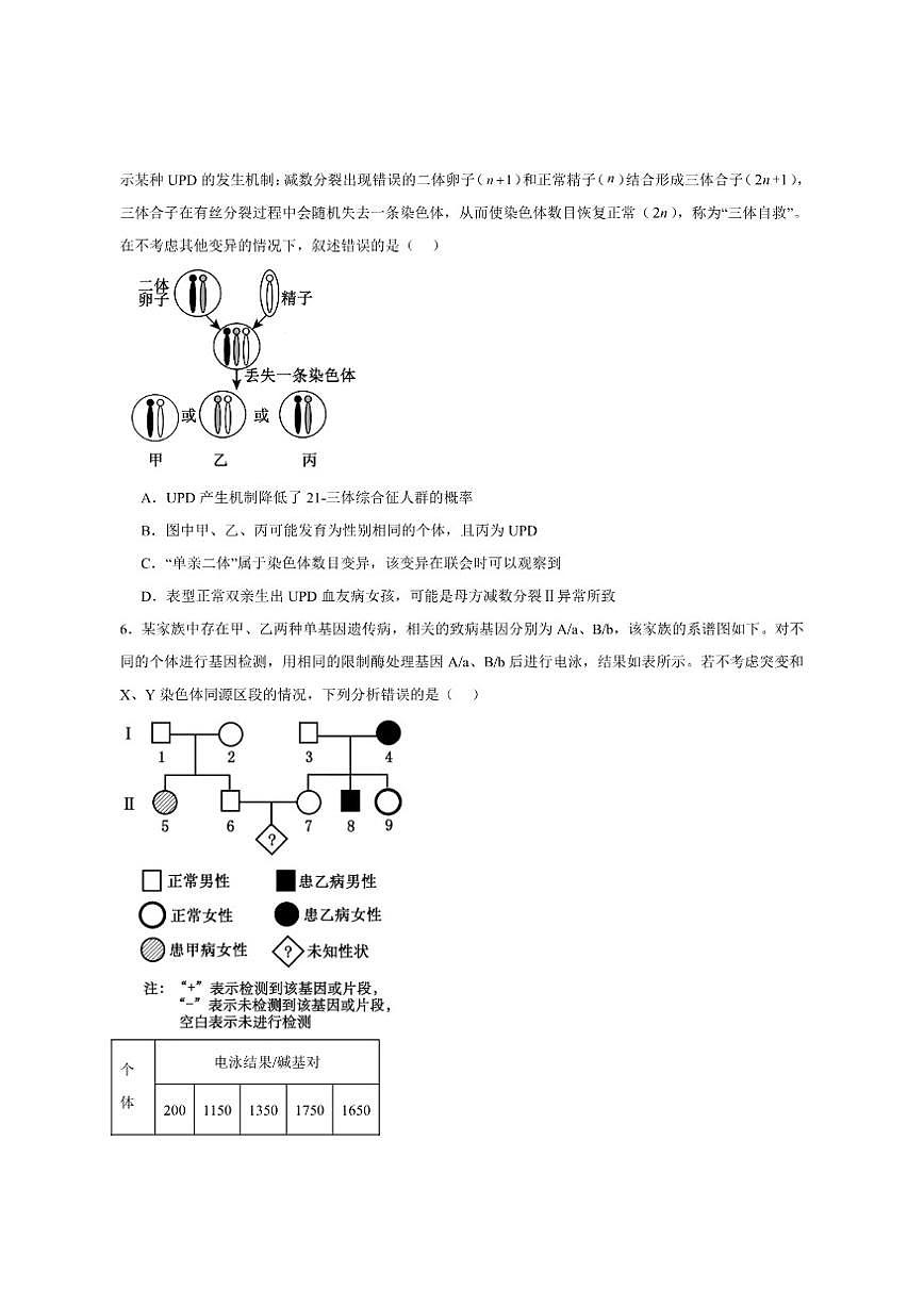 2024-2025学年山东省临沂市高三上学期期末考试生物试题（有答案）第3页