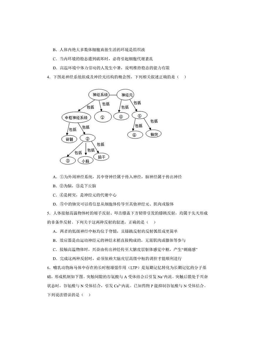 东莞市众美中学2025一一2026学年度高二上学期12月考试生物学试卷及答案第2页