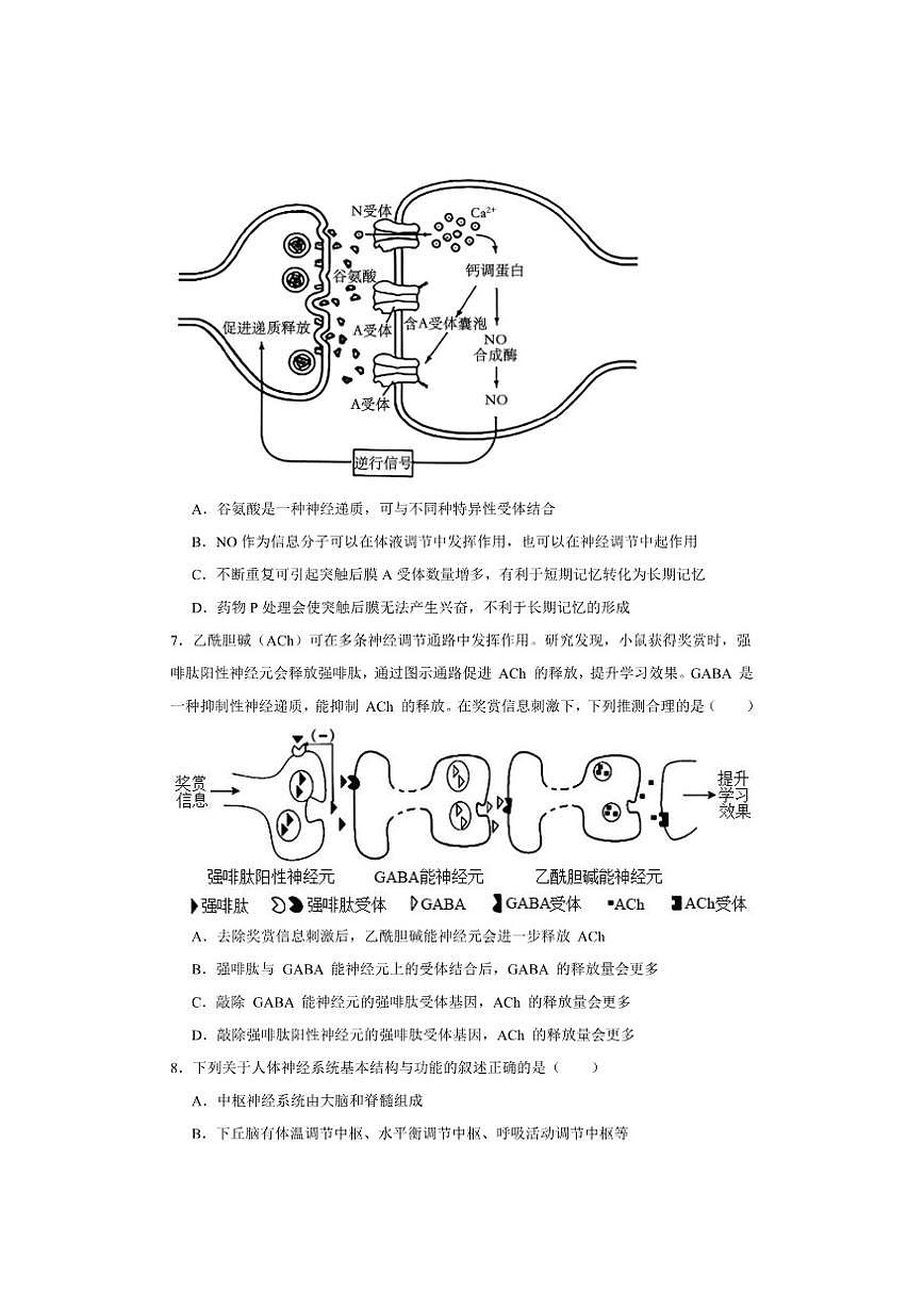 东莞市众美中学2025一一2026学年度高二上学期12月考试生物学试卷及答案第3页