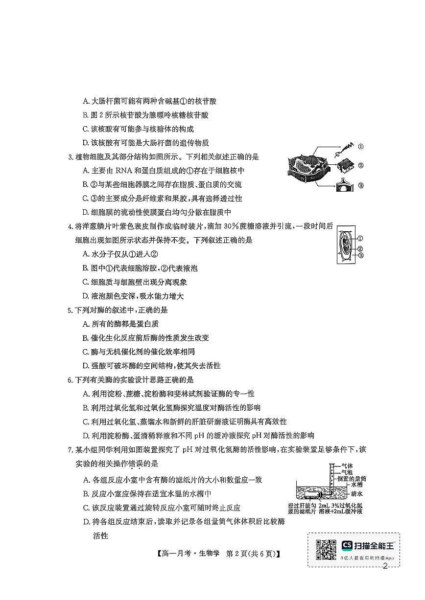 砚山一中2025年秋季学期高一年级上12月月考生物学试卷及答案第2页