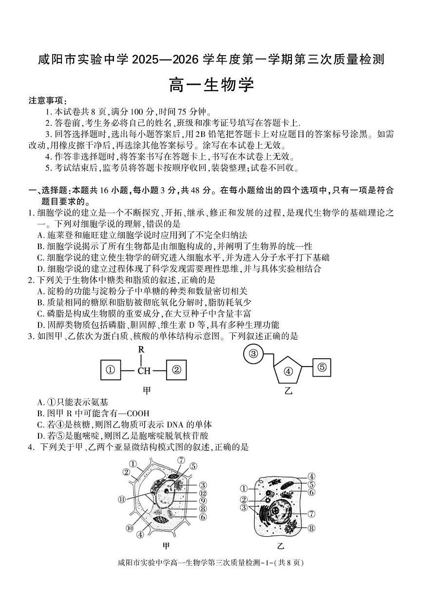 2025-2026学年陕西省咸阳市实验中学高一上学期第三次质量检测生物试卷（有答案）第1页
