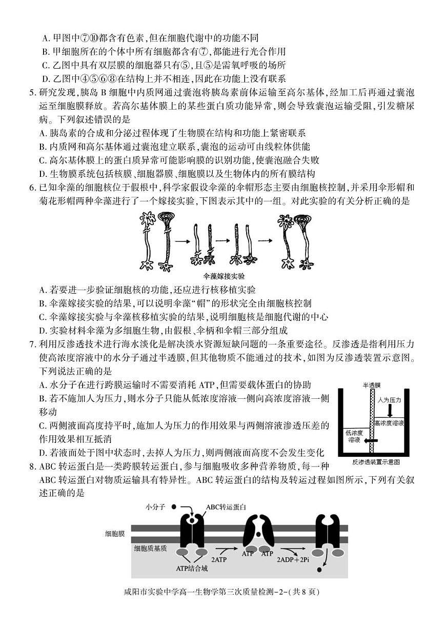 2025-2026学年陕西省咸阳市实验中学高一上学期第三次质量检测生物试卷（有答案）第2页
