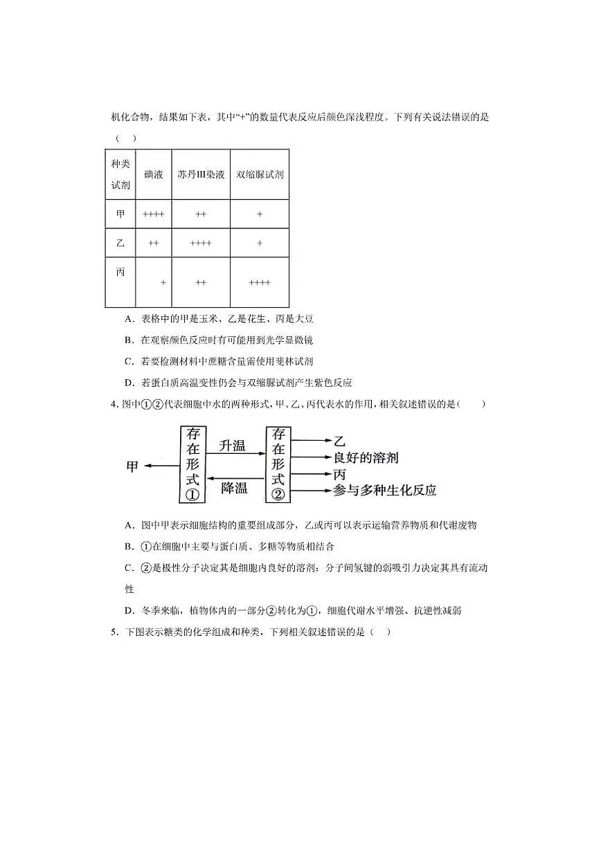 东莞市众美中学2025-一2026学年度高一上学期12月考试生物学试卷及答案第2页