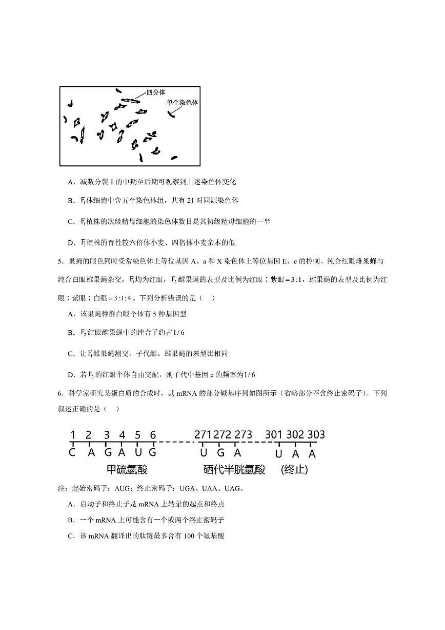 2026届河北省沧州市肃宁县第一中学高三上学期一模生物试卷（有答案）第2页
