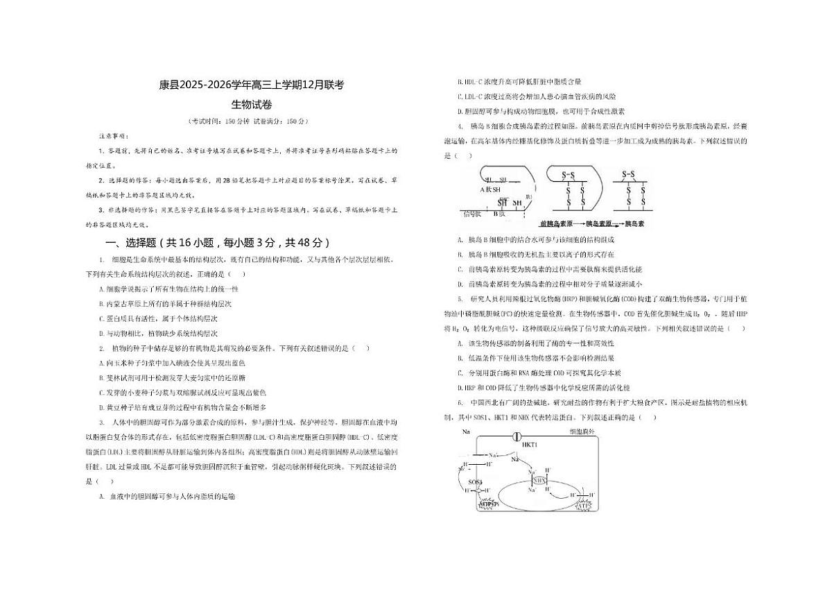 康县2025-2026学年高三上学期12月联考生物试卷及解析第1页