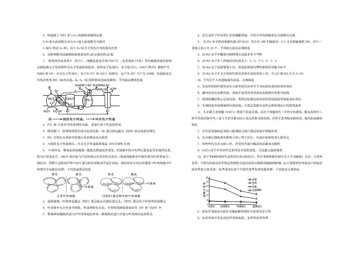 康县2025-2026学年高三上学期12月联考生物试卷及解析第2页