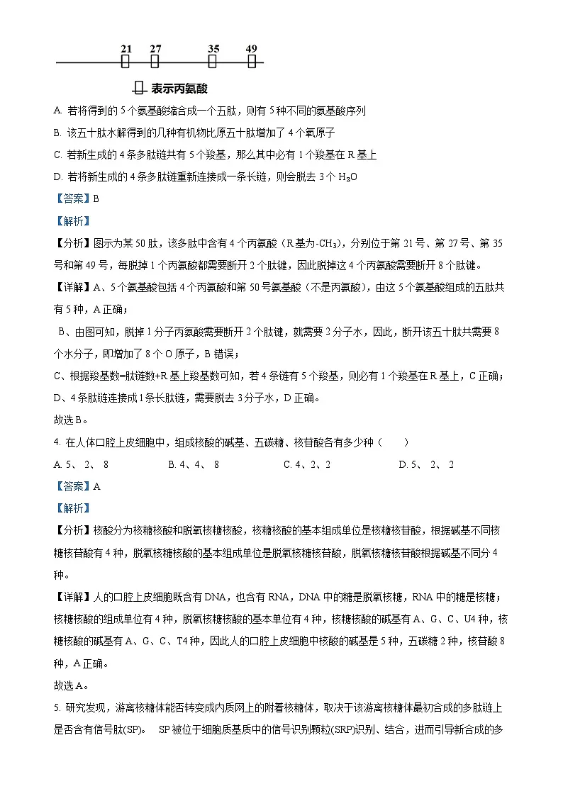 福建省泉州市五中高一上学期期末考试生物试卷（解析版）-A4第2页