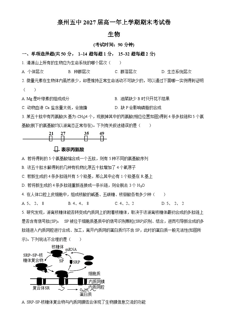 福建省泉州市五中高一上学期期末考试生物试卷（原卷版）-A4第1页