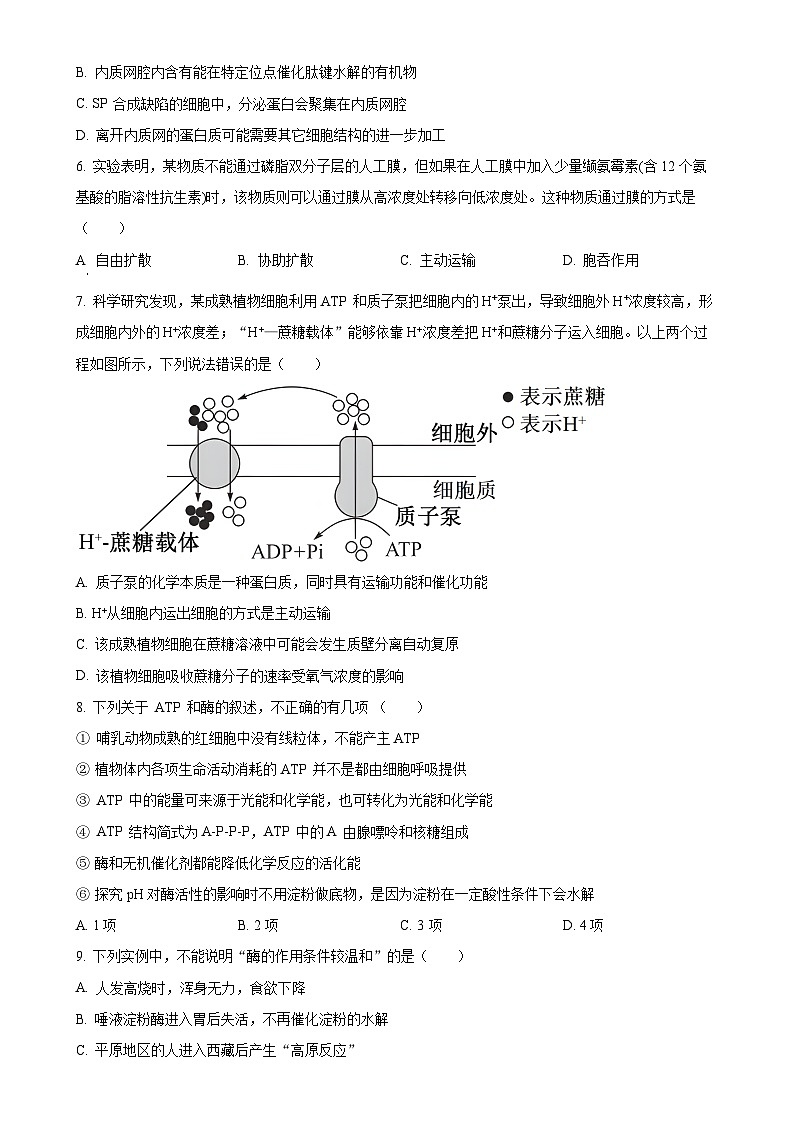 福建省泉州市五中高一上学期期末考试生物试卷（原卷版）-A4第2页