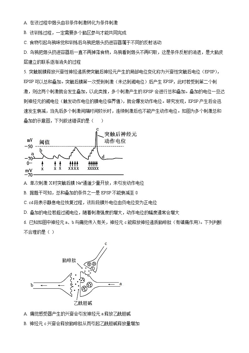 福建省福州市马尾第一中学等六校高二上学期期中联考生物试题（原卷版）-A4第2页