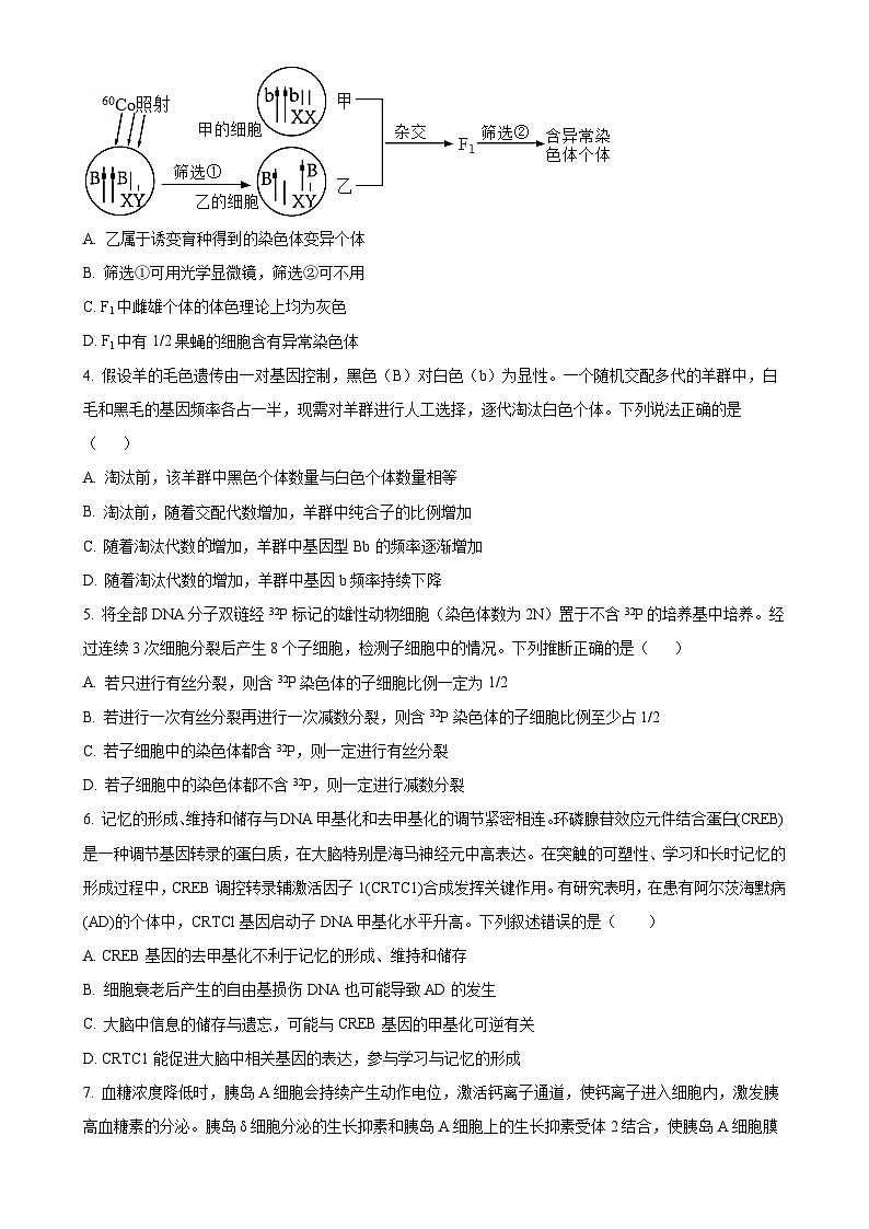 福建省莆田市涵江区莆田锦江中学高二上学期1月期末生物试题（原卷版）-A4第2页