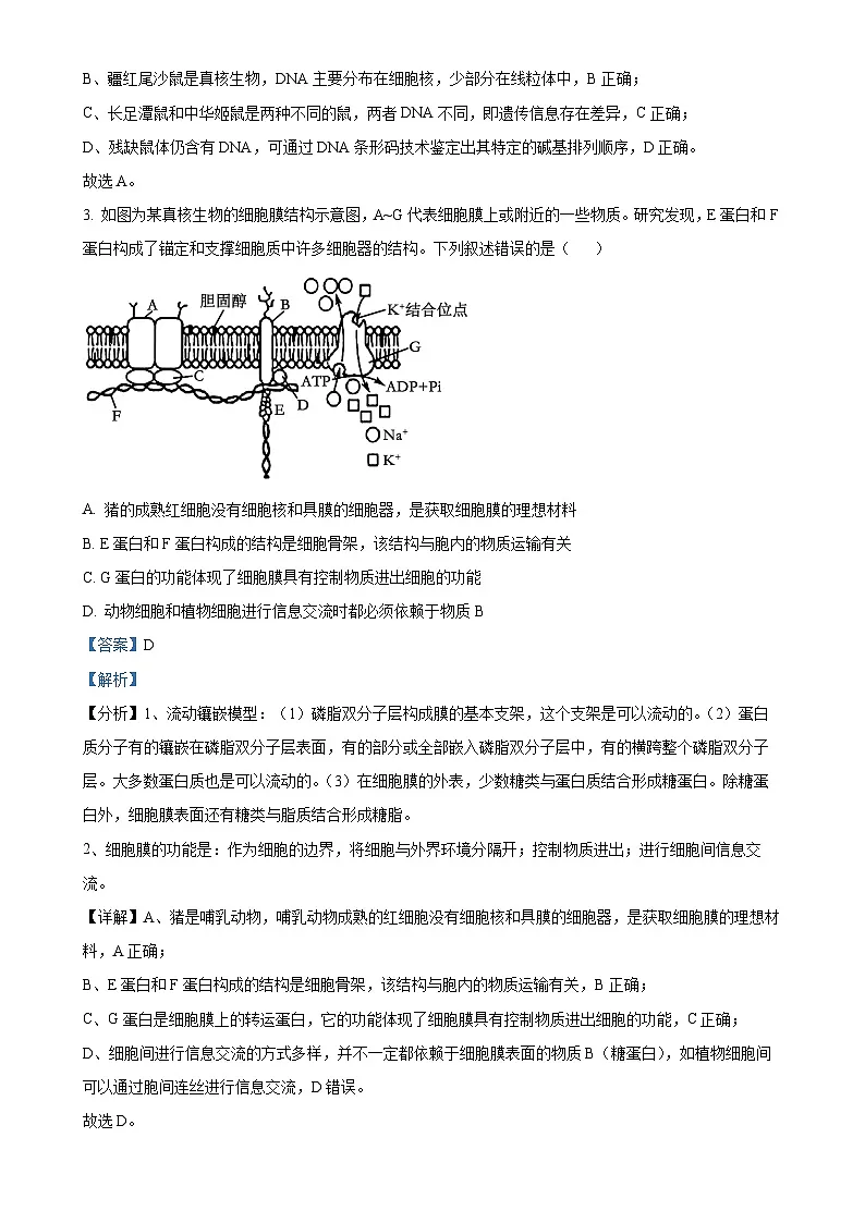 福建省莆田市涵江区莆田锦江中学高一上学期1月期末生物试题（解析版）-A4第2页