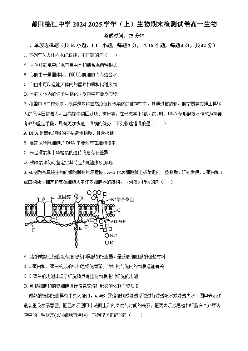 福建省莆田市涵江区莆田锦江中学高一上学期1月期末生物试题（原卷版）-A4第1页