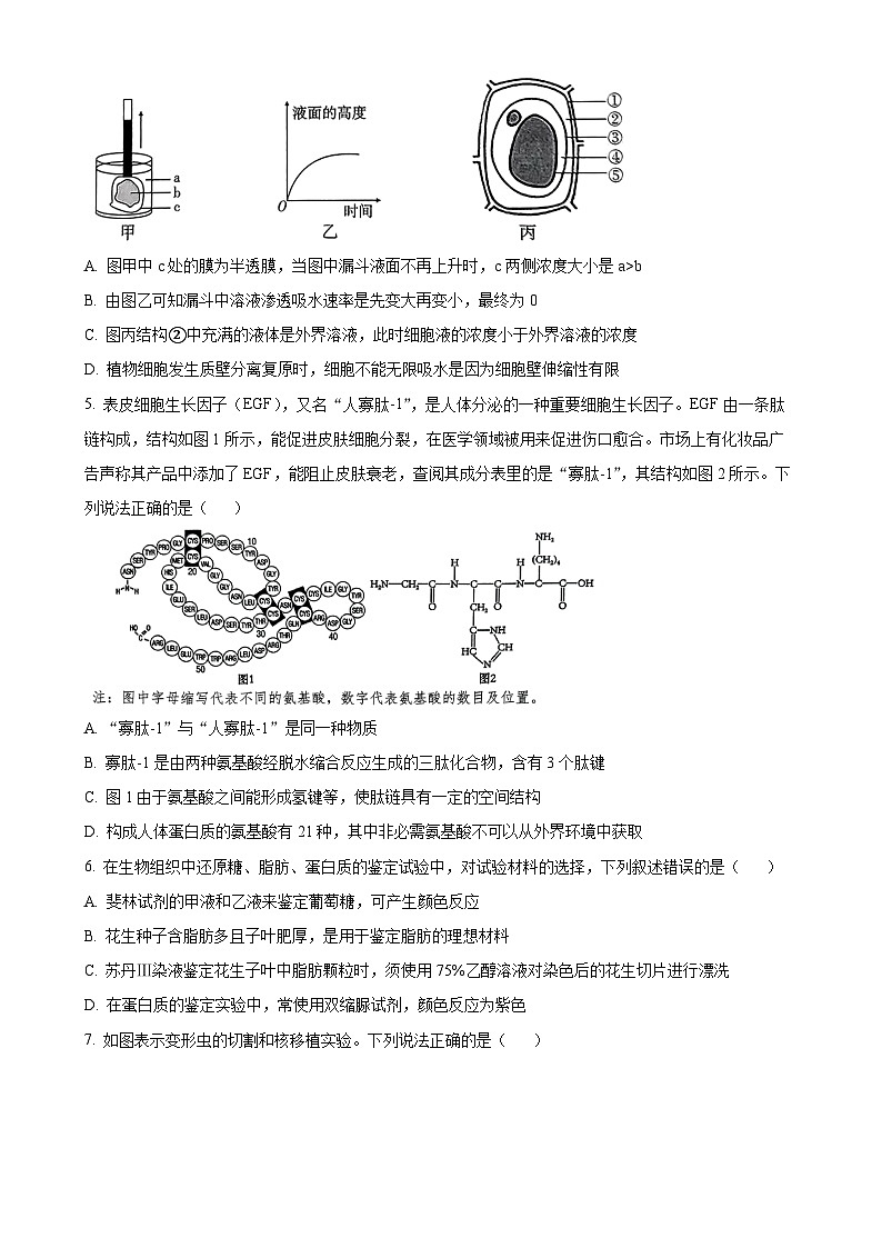 福建省莆田市涵江区莆田锦江中学高一上学期1月期末生物试题（原卷版）-A4第2页
