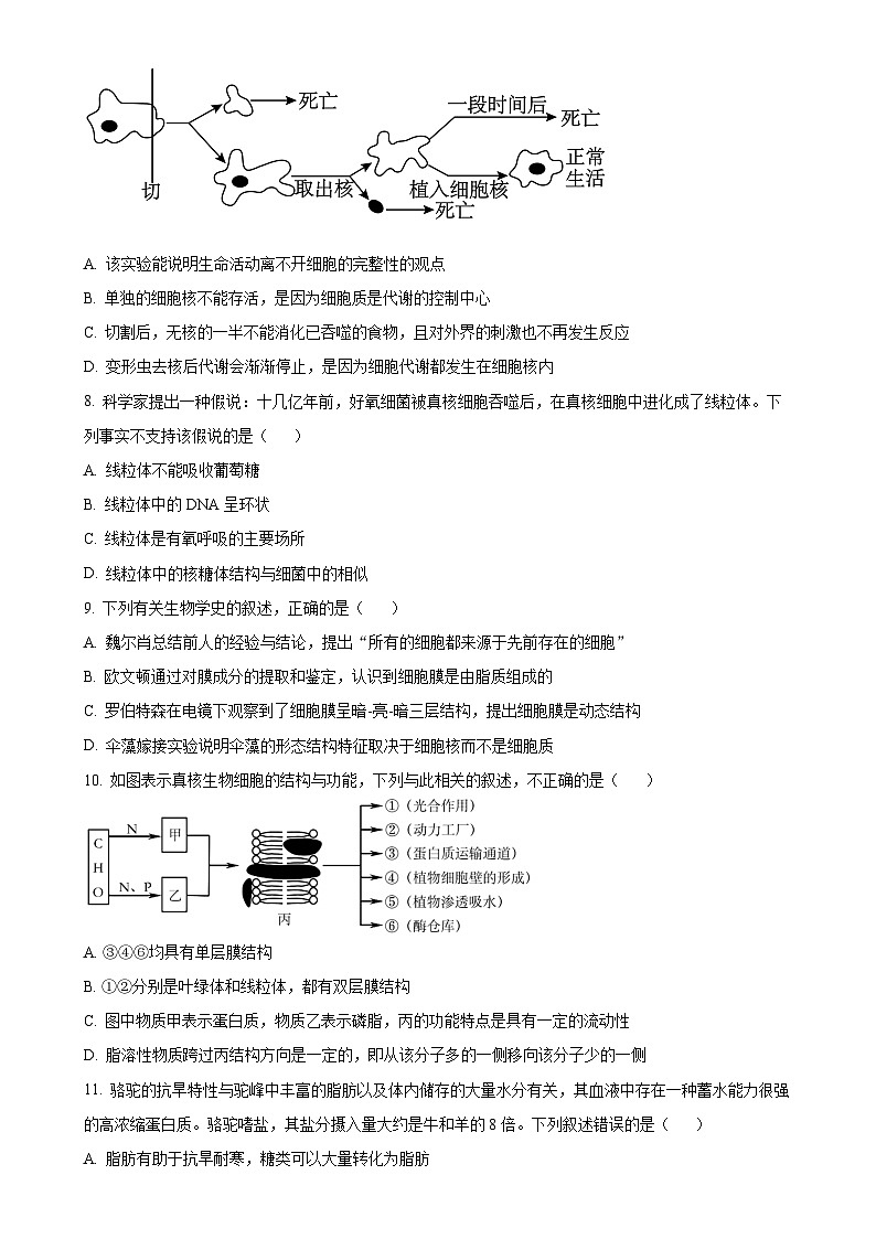 福建省莆田市涵江区莆田锦江中学高一上学期1月期末生物试题（原卷版）-A4第3页