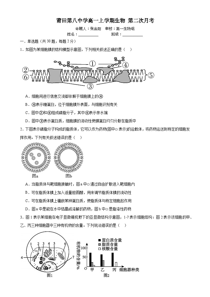 福建省莆田市荔城区莆田第八中学高一上学期12月月考生物试题-A4第1页